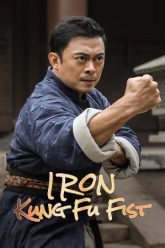 Iron-Kung-Fu-Fist