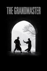 The-Grandmaster-2013-Dual-Audio-Vegamoviues